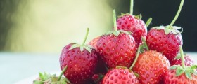 Fruit Allergy Overview: Causes, Symptoms, Treatments and More